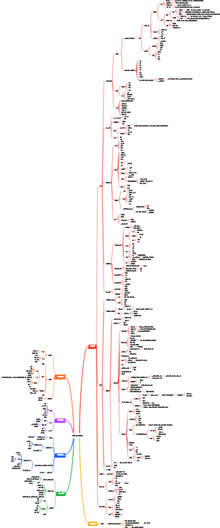 객관적인 사랑의 법칙