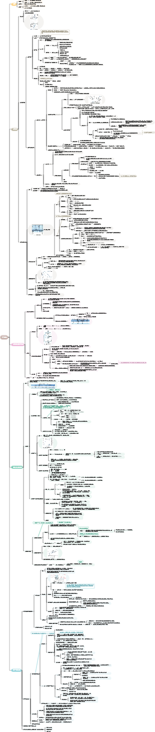 생리학-호흡기 시스템