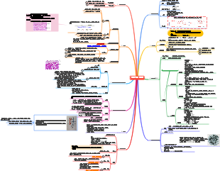 제5장 혈액과 순환계