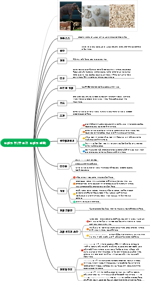 한의학 용뼈 마인드 맵
