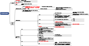 박테리아의 기본 구조와 생리학