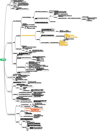 국제공법 조약법