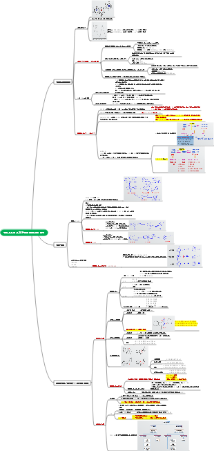 플라보노이드 스펙트럼 특성