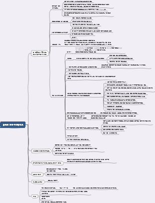 팀 관리 마인드맵