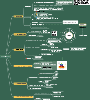 파인만의 학습 방법