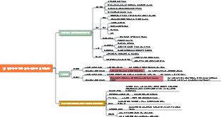 가정교육-아이들은 왜 늘 남을 때리는 걸까