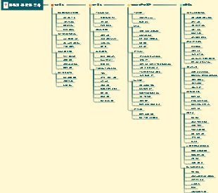 인류의 간략한 역사