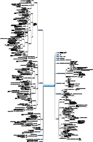 동물부터 신까지 인류의 간략한 역사