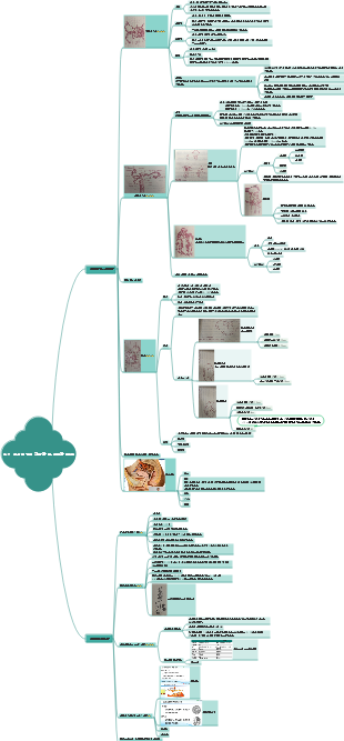 여성 생식 기관의 해부학 및 생리학 개요(2)