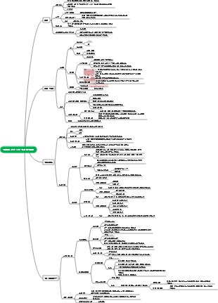 일반심리학 5장