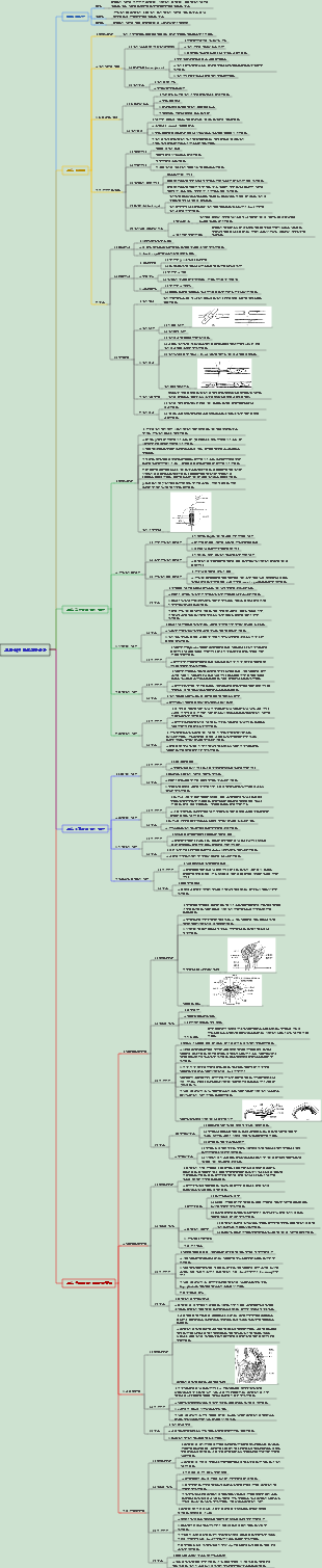 외과 064 말초신경손상