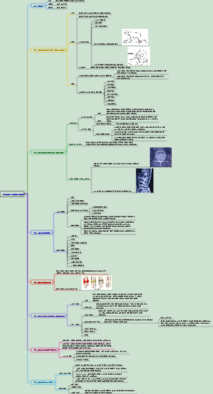 수술 058 골절의 개론