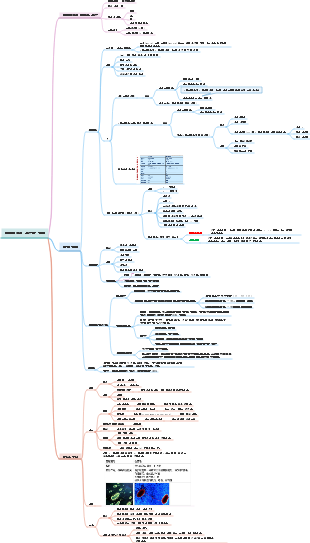 박테리아의 모양과 구조