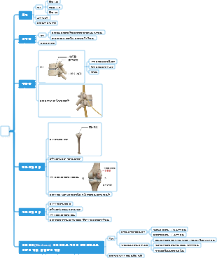 의학-뼈 마인드맵