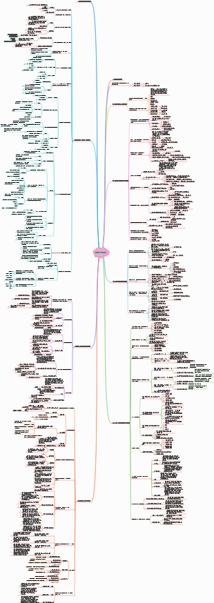 발달심리학 마인드맵