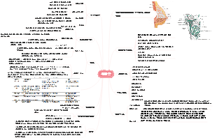 의학-유방암 마인드맵