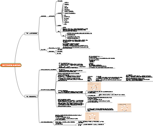 대학경영 - 경영이론의 역사적 진화
