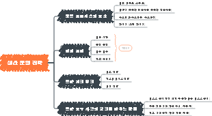 생산 운영 전략