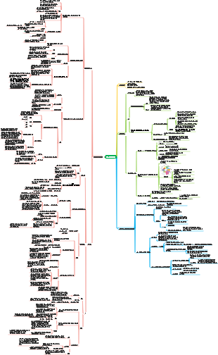 목표관리 마인드맵