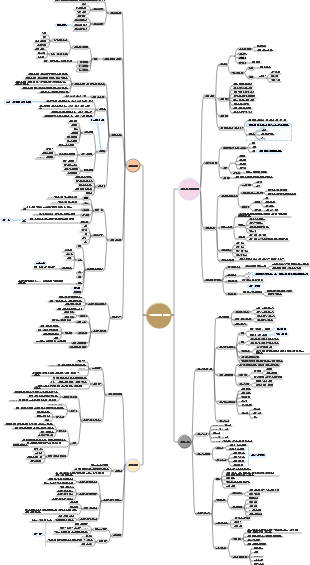 정보관리 마인드맵