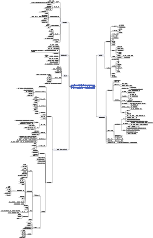 B2C 전자상거래 운영의 기본 프로세스 및 내용