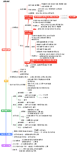 피트니스 - 체지방 감량