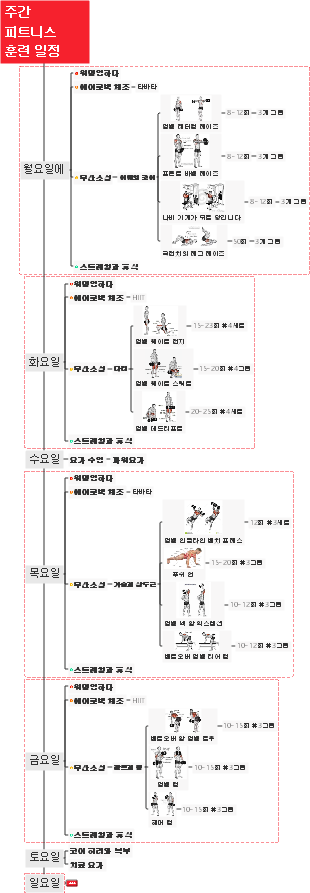 주간 피트니스 훈련 일정