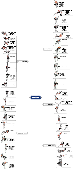 개인 피트니스 계획