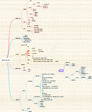 비만과 체중 감량 마인드맵