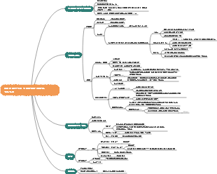 바이러스 감염 탐지방법과 예방 및 치료원칙 마인드맵