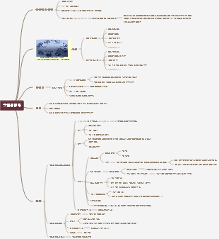 클라미디아 마인드맵