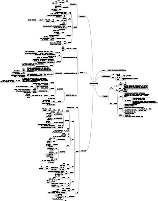 발생학 개요 마인드 맵