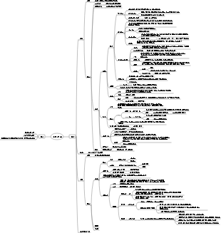 여성의 생식계 마인드맵
