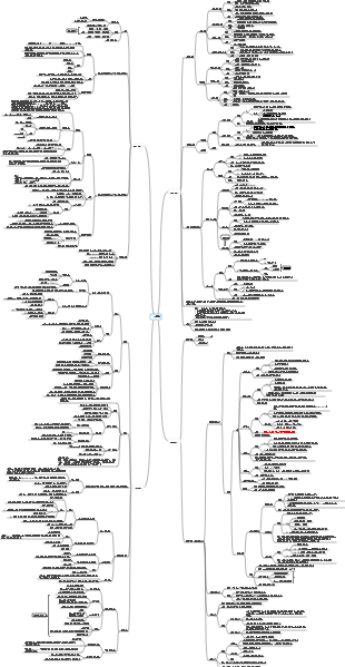 조직학 및 발생학의 네 가지 기본 조직에 대한 마인드 맵