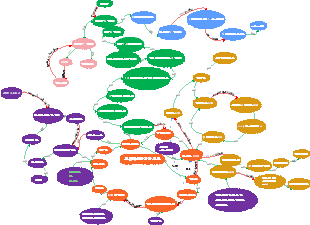 생화학적 대사주기 마인드맵