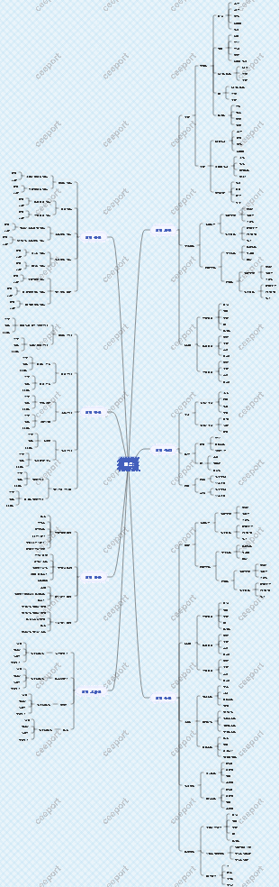 인지 마인드 맵