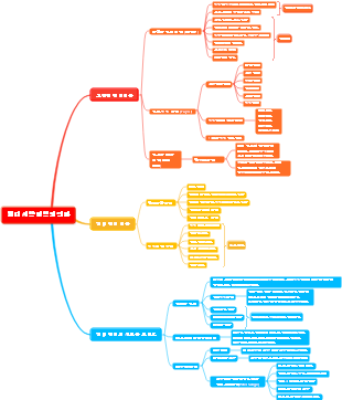 현대 서양 경영의 진화