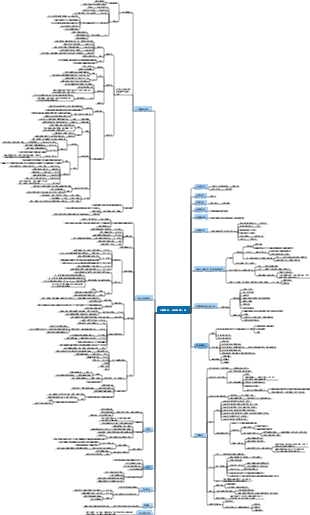 人類簡史從動物到上帝