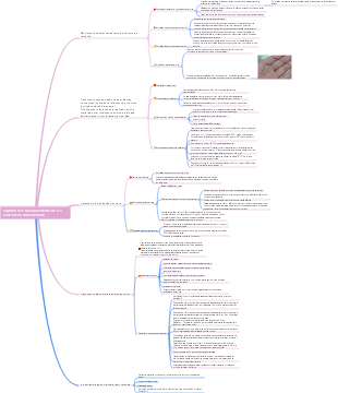 Capítulo 6 Nivelamento do arco e controle de sobremordida