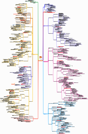 Notas de leitura Estude bem