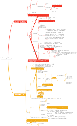sistema respiratório
