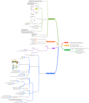 Mapa mental de fotossíntese de fisiologia vegetal