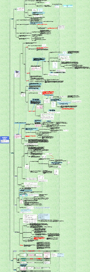 metabolismo lipídico