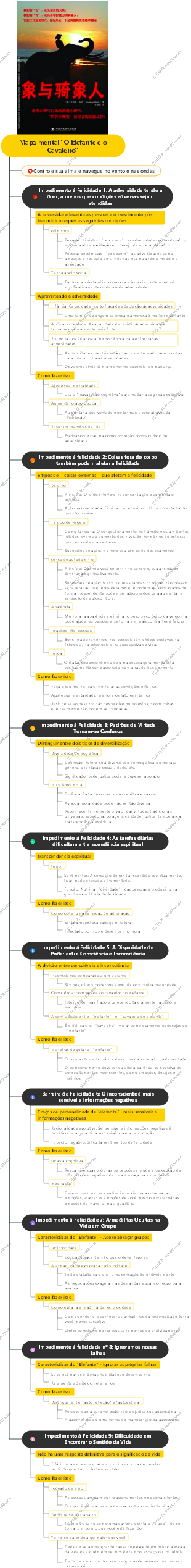 Mapa mental O Elefante e o Cavaleiro