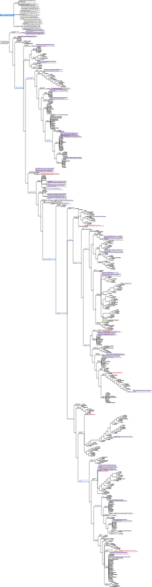 Sistema de classificação de angiospermas (APG IV)