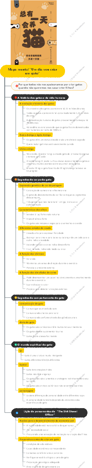 Mapa mental Um dia vou criar um gato