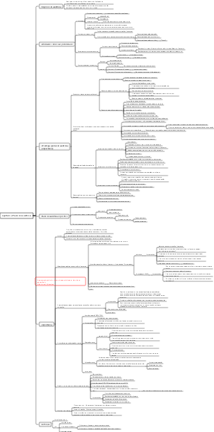 Capítulo 2 Plano de Auditoria