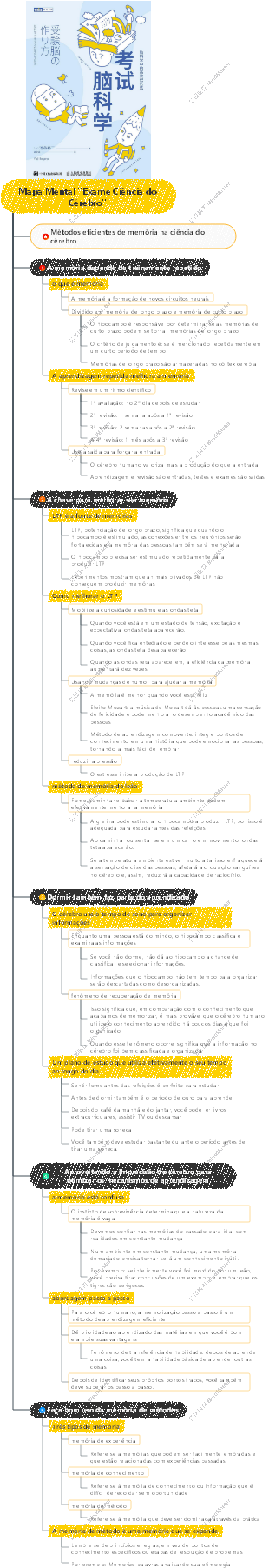 Mapa Mental Exame Ciência do Cérebro