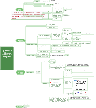 Bioquímica Capítulo 9 Síntese e Decomposição de Lipídios