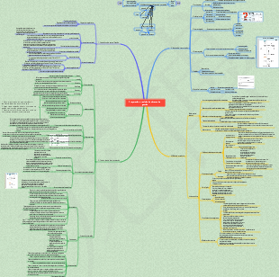 Estabelecimento e implementação de sistema de gestão de segurança de elementos de gestão de segurança [Versão prática]